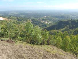 Reforestation success in Haiti